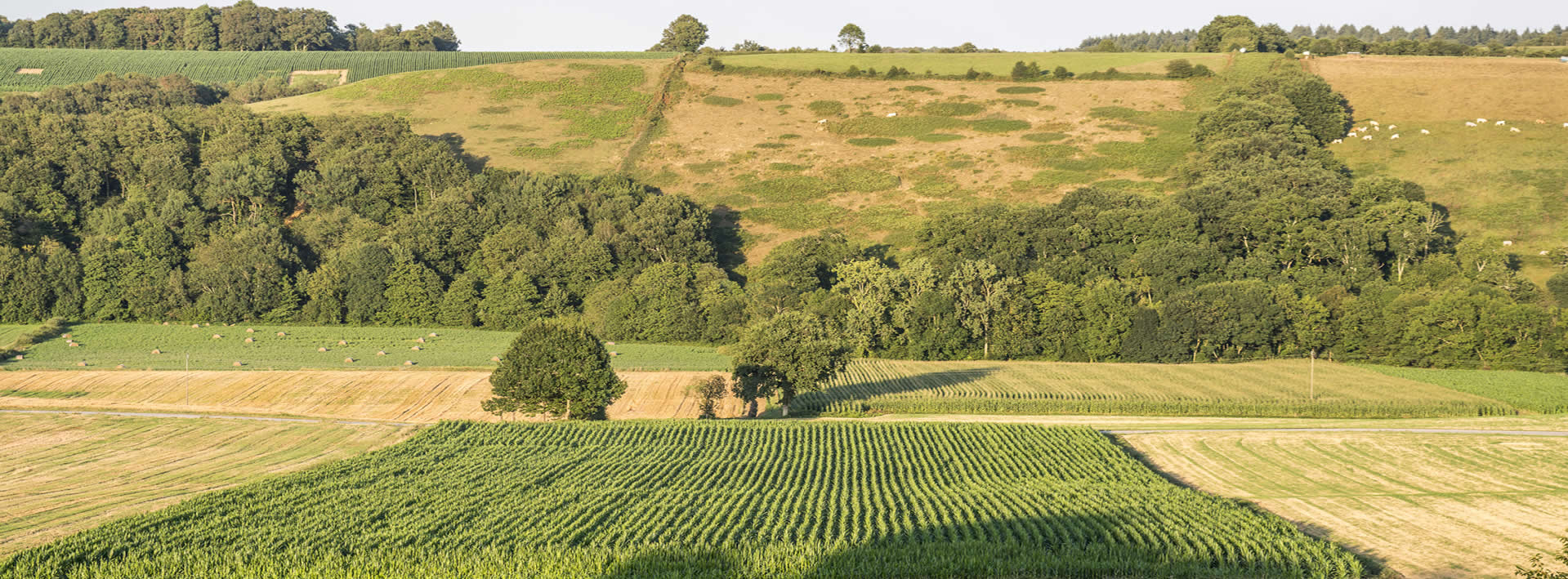 Les Pôles d’Équilibre Territoriaux et Ruraux du Pays des Coteaux Pyrénées Gascogne